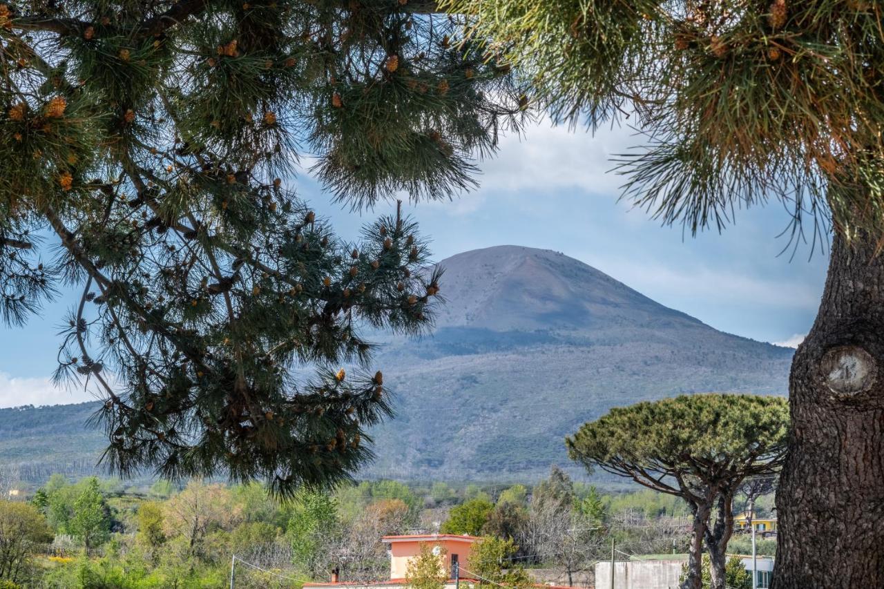 בוסקוריאלה Torremerlata B&B מראה חיצוני תמונה